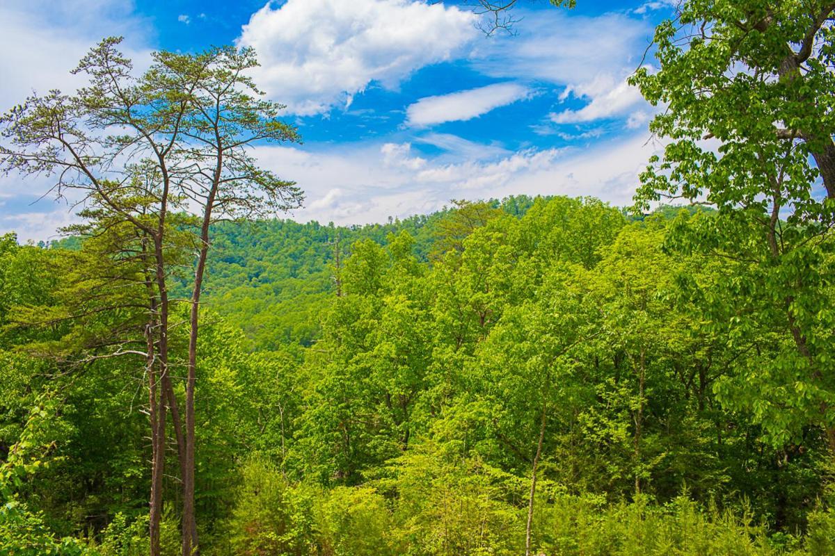 Nature'S Paradise Sevierville Exterior foto